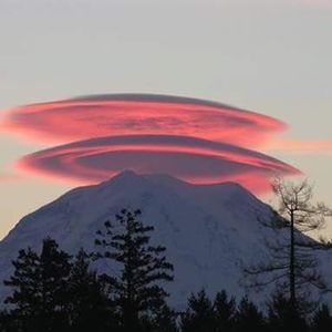 Meet your Posher, George